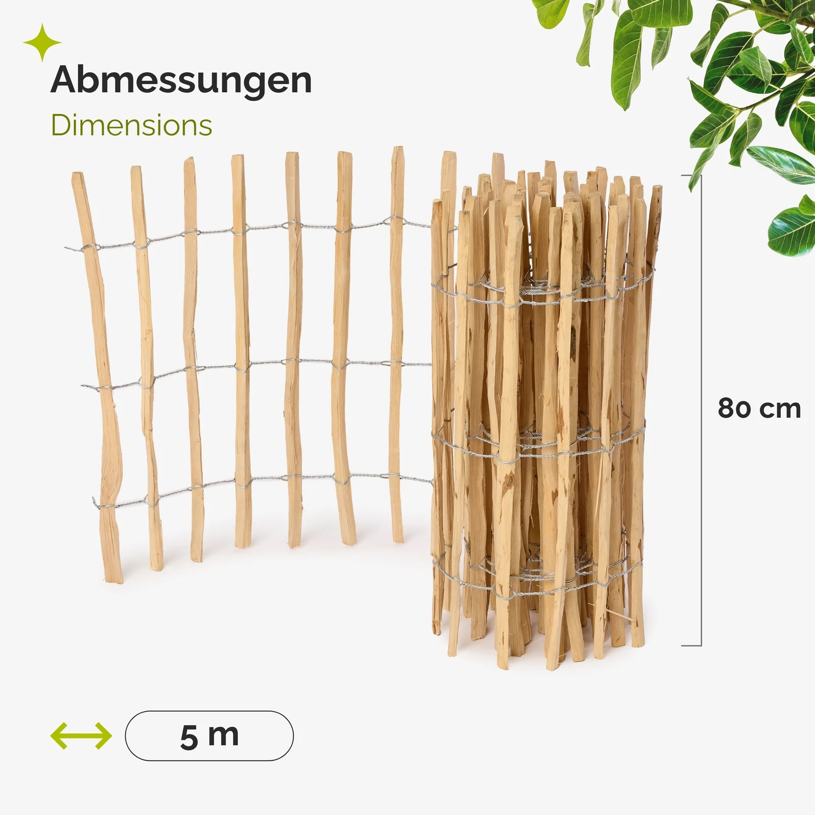 Bild 19 von 47