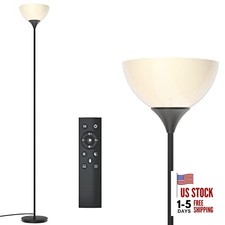  Floor Lamp, Remote Control with Stpeless Color Temperatures and Matte Black