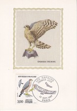 Carte 1er jour Rapaces Epervier d'Europe Soie 1984