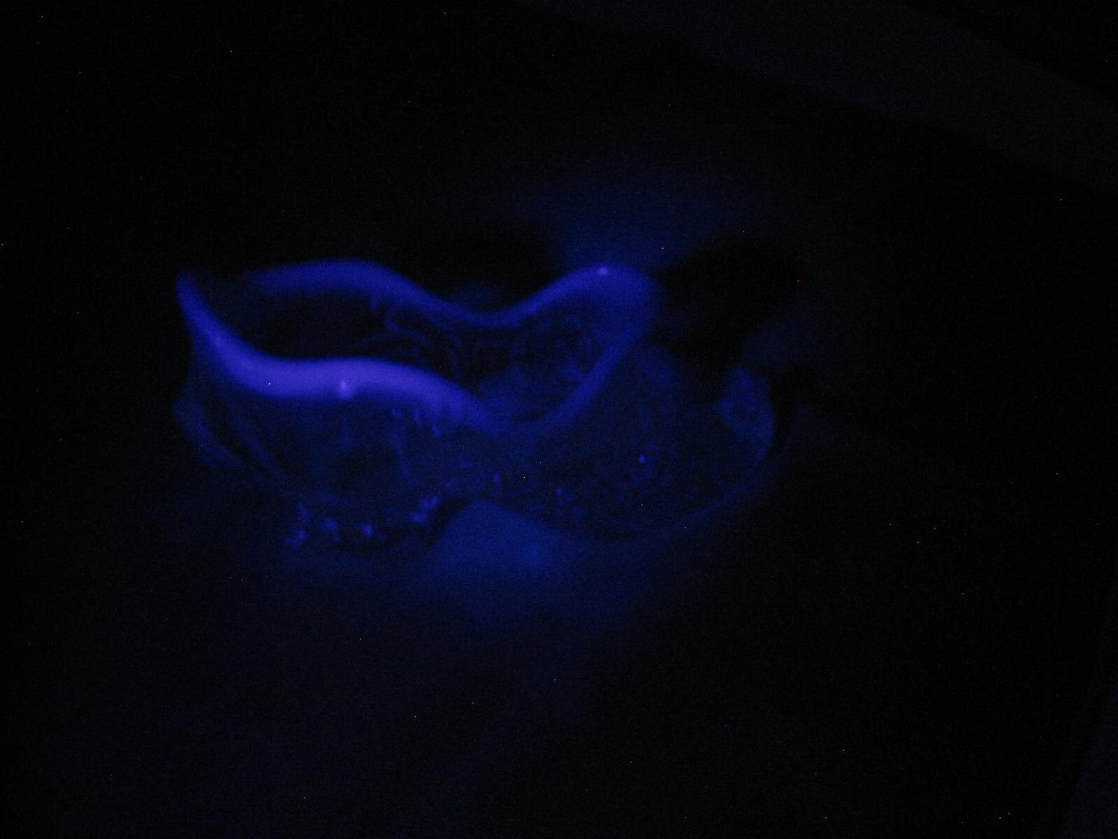 Picture 12 of 14