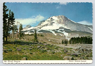 Mount Hood Oregon View from Timberline Lodge c1970 VTG UNP Continental Postcard