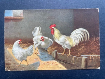 Postcard greeting from Sasbach to Hördt in the Palatinate animal motif rooster and hen