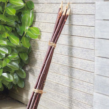 Image of Giant Plant Stakes Weatherproof Gardening Canes Heavy Duty Willow Plant Supports