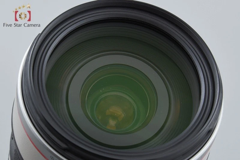 Canon EF 28-300mm f/3.5-5.6 L IS USM con caja - Imagen 3 de 4