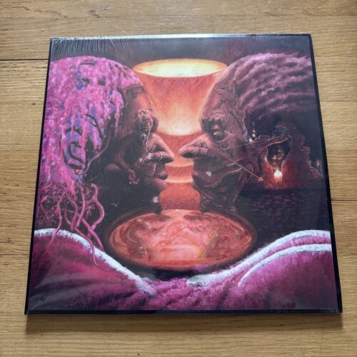 Young Thug PUNK VINYL 2LP LENTICULAR LIMITED EDITION #536/555 BRAND NEW