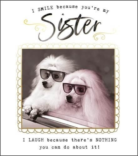 Sister Birthday Card Dogs – Humorous Design Greeting Card by Pigment