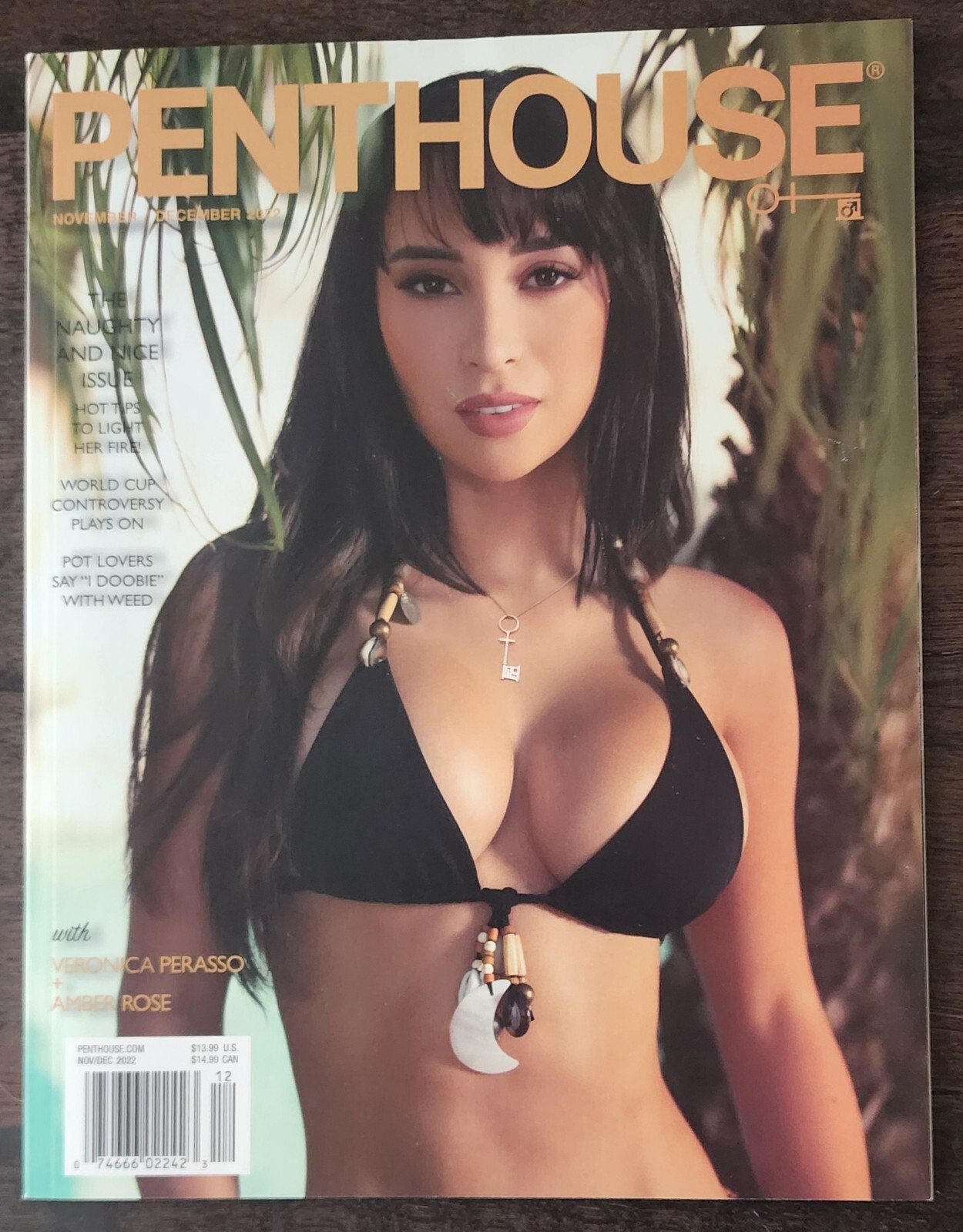 The Veronica Perasso Shake: A Beginner'S Guide - 02jn223