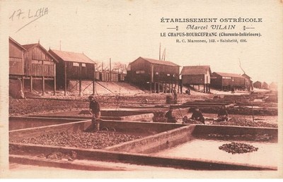 MIKIH-1102 17 LE CHAPUS BOURCEFRANC OYSTER ESTABLISHMENTS MARCEL VILAIN