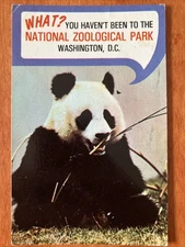 National Zoological Park Washington DC 1985 Giant Panda Ling Ling Postcard RA