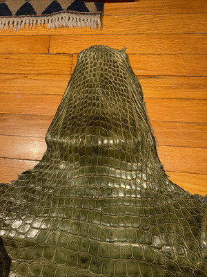 80cm Olive Glazed Top Grade Alligator Skin (Tag#:4031634