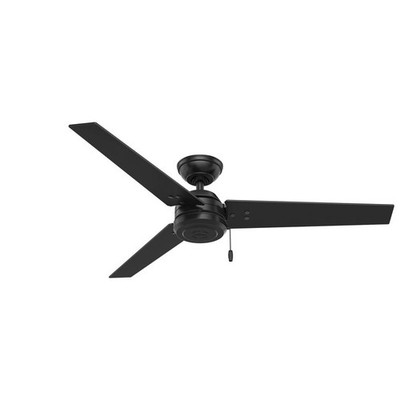 Hunter Cassius 52'' Matte Black Outdoor Ceiling Fan 3-Blade Combo Mount