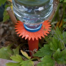 Neat Ideas Water Spikes 6 pack - waters & feeds your plants whilst your out