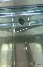 Rare Ball Mason Jar Aqua Blue with Chips On Rim Something Inside Glass Error