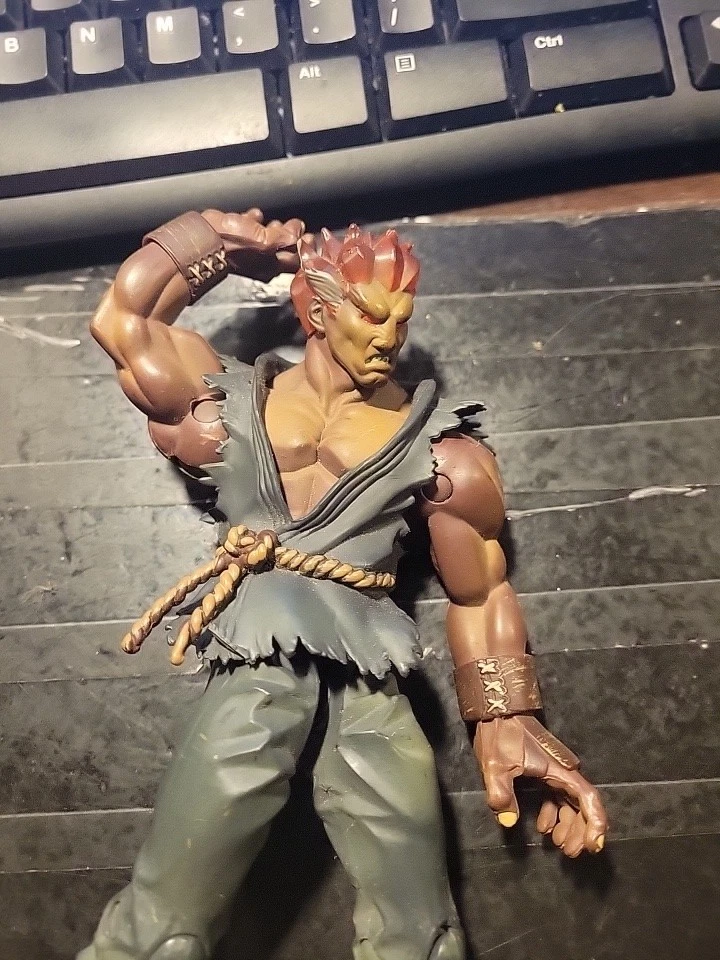 Resaurus Street Fighter 1999 ronda 2 azul blanco y AKUMA DAÑADO PLZ leer Foto 4 de 4