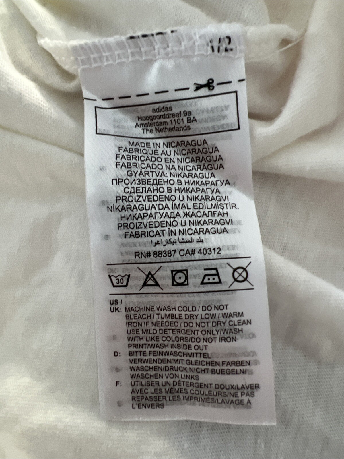 Foto 7 di 8
