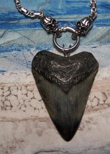MEGALODON SHARK TOOTH 3" REAL SHARK TEETH NECKLACE FOSSIL BIG "VIKING" GEM