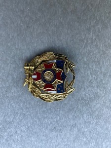 Auxiliary Past President 10k Veteran of Foreign War Gavel Pin