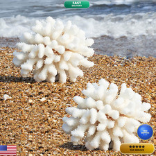 Besimple Pack Of 2 Artificial Coral Ornament Aquarium Resin Coral Decor