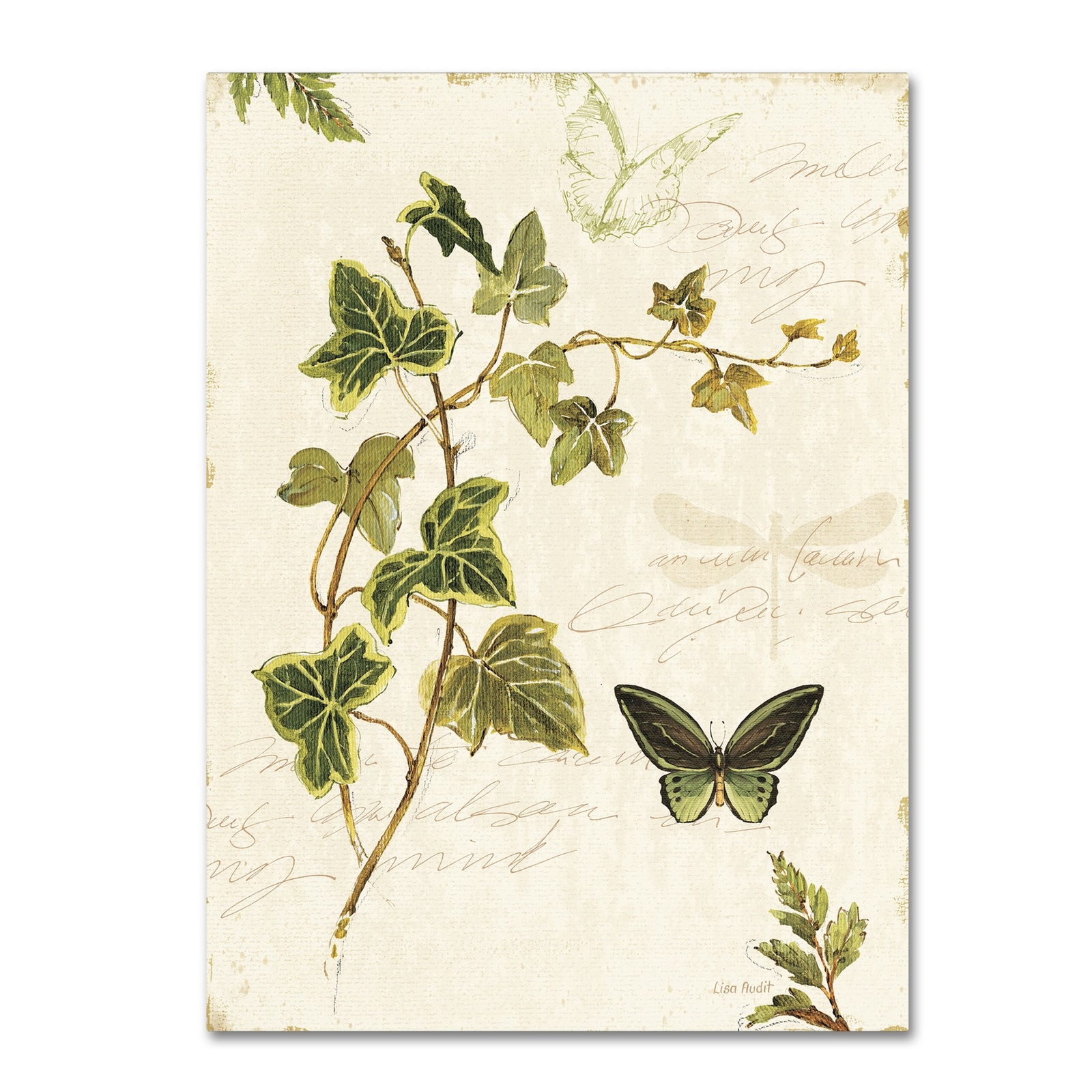 Ivies and Ferns IV Wall Decor by Lisa Audit, 14
