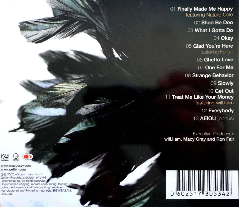 Macy Gray - Grande, Firmado, Con Descripción De Por Qué Hizo El Álbum - CD, En muy buena condición Foto 4 de 4