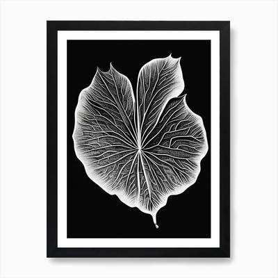 Gotu Kola Blatt Linolschnitt 2 Kunstdruck gerahmt Wandbild Poster Leinwanddruck Bild