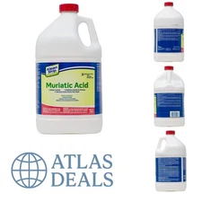 Klean-Strip 1 Gallon Muriatic Acid - Brighten & Etch Concrete Safely