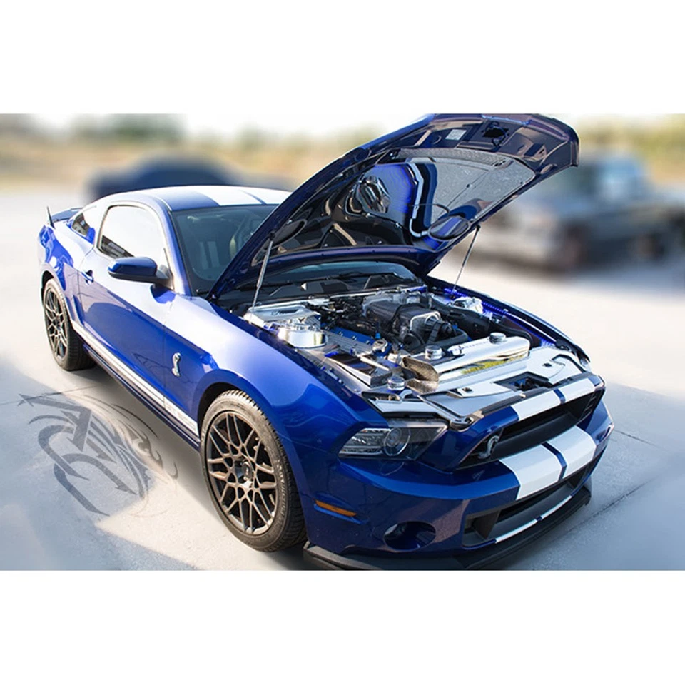 Решетка вентиляционная верхняя для капота для Ford Mustang Shelby 2012-2014 годов выпуска [матовая/перфорированная] - Изображение 2 из 4