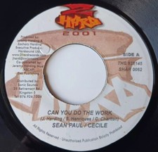 Sean Paul & Ce'cile - Can You Do The Work / Liquid Riddim Vinyl 45 - 2 Hard 2001