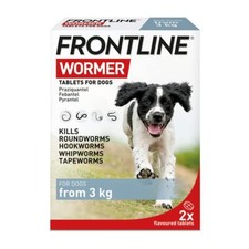 Dog Worming Wormer Tablets Small & Large Dog 2 Tablets KILLS INTESTINAL WORMS