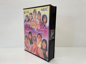 Super Rare PC-FX All Japan Women's Pro Wrestling NEC Game Soft PCFX Japan Region