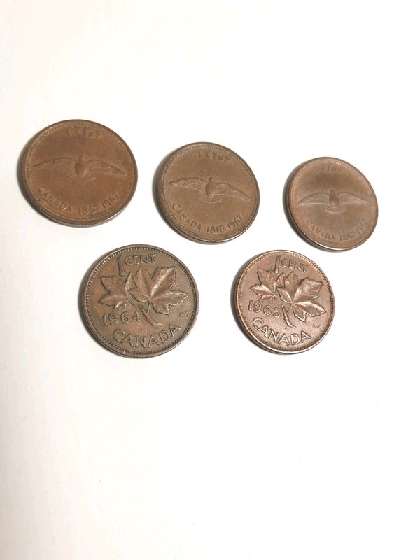 Canada 1 Cent 1967 Elizabeth II Confederation Rock Dove 1964 1965 Coin  1 Cent