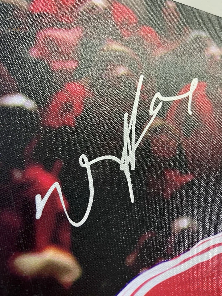 DERRICK ROSE SIGNED 20X24 PHOTOFILE CANVAS CHICAGO BULLS AUTO MVP - PSA/DNA COA - Image 2 of 4