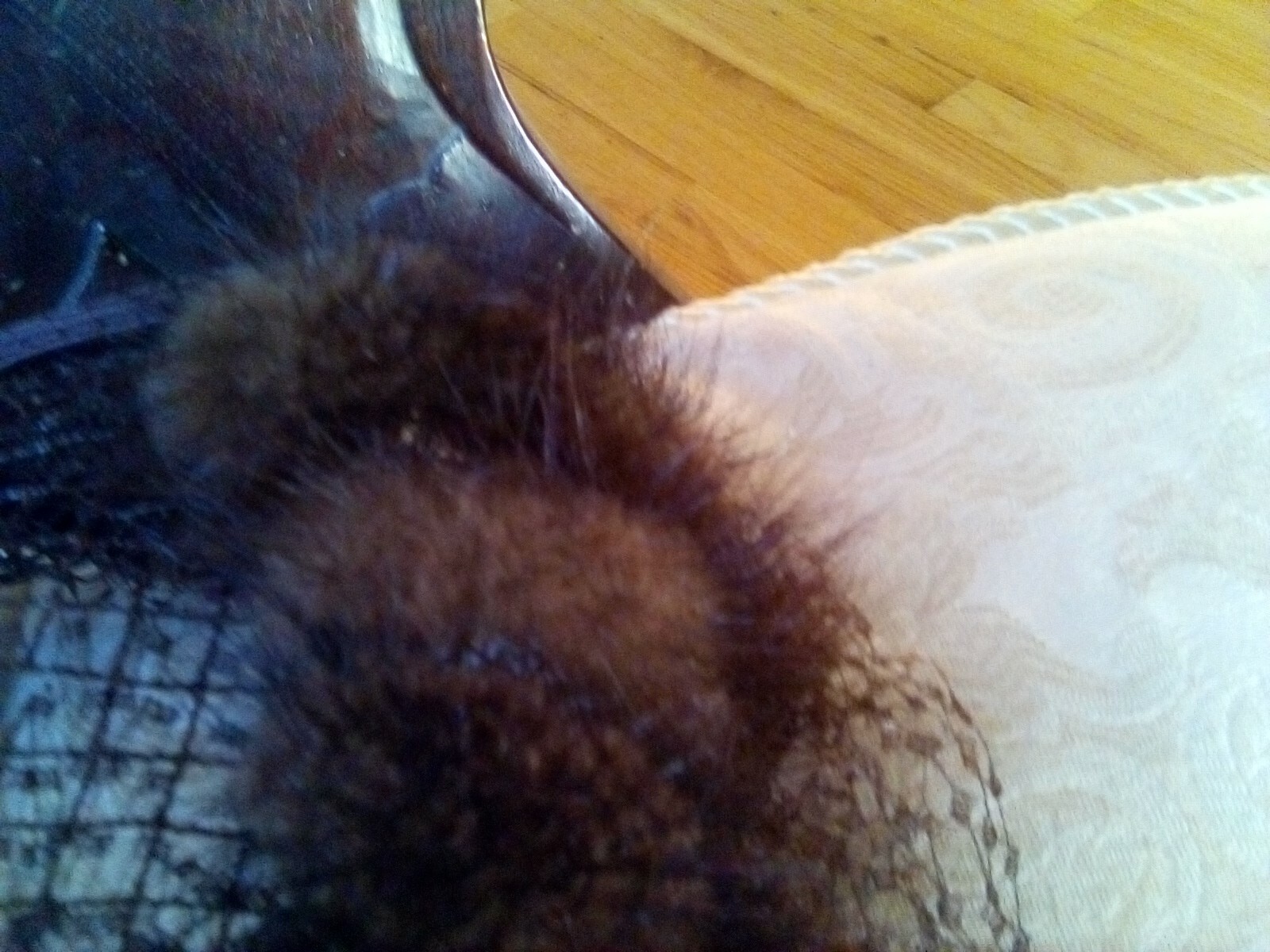 Picture 5 of 7