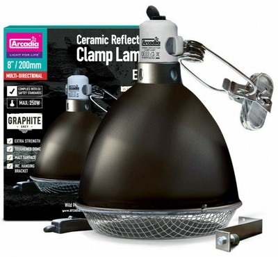 tortoise clamp lamp