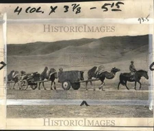 1961 Press Photo Camel Caravan Near Ulan Bator, Outer Mongolia - pix22624