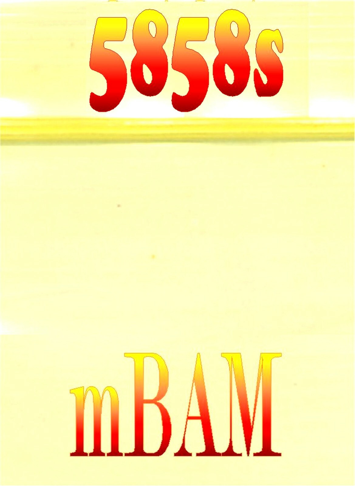 Imagen 1 de 12