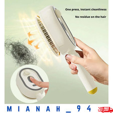 2026 New Electric Steam Brush, Electric Steam Brushs for Hair, Rechargeable USA
