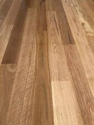 Blackbutt Solid Flooring Feature Grade 130x19mm