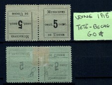 OCCUPAZIONE AUSTRIACA 1918 MUNICIPIO DI UDINE TETE-BECHE 5C. NERO N. 1H G.O*