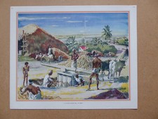 Vintage 1940s UK Macmillan History Geography Print VILLAGE SUGAR MILL INDIA