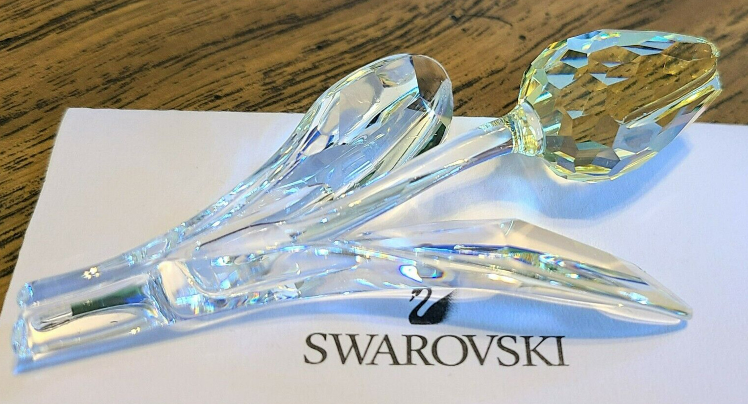 🌷 Swarovski Crystal 2004 L.E. SCS Renew Gift, Large, Yellow Tulip Figurine NIB