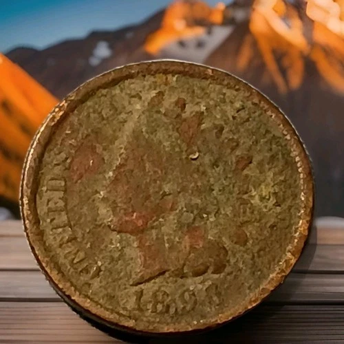 1896 Indian Head Cent Actual Coin Shown - A22