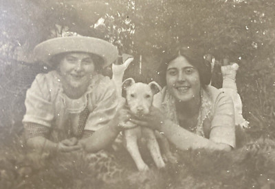 1910s Pretty Ladies Women Lying Down Feet Up Small Dog Pup Original Photo P12L20