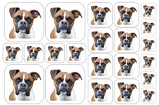 BOXER Dog Stickers - Multiple Size and Material Options