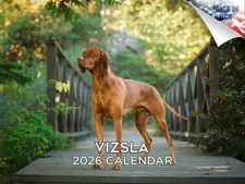 Vizsla Dog Breed Calendar 2026 12x18 Made in USA