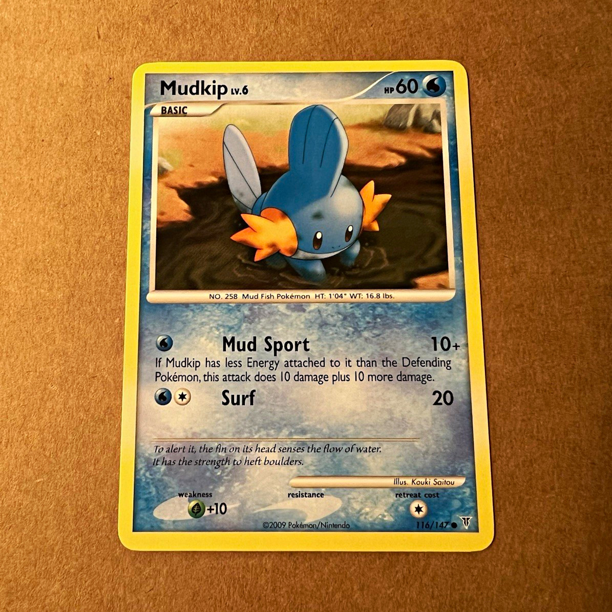 Pokémon TCG Mudkip 116/147 Supreme Victors 2009 Regular NM Condition
