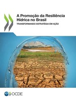Oecd | A PromoçãO Da ResiliêNcia HíDrica No Brasil | Taschenbuch | Portugiesisch