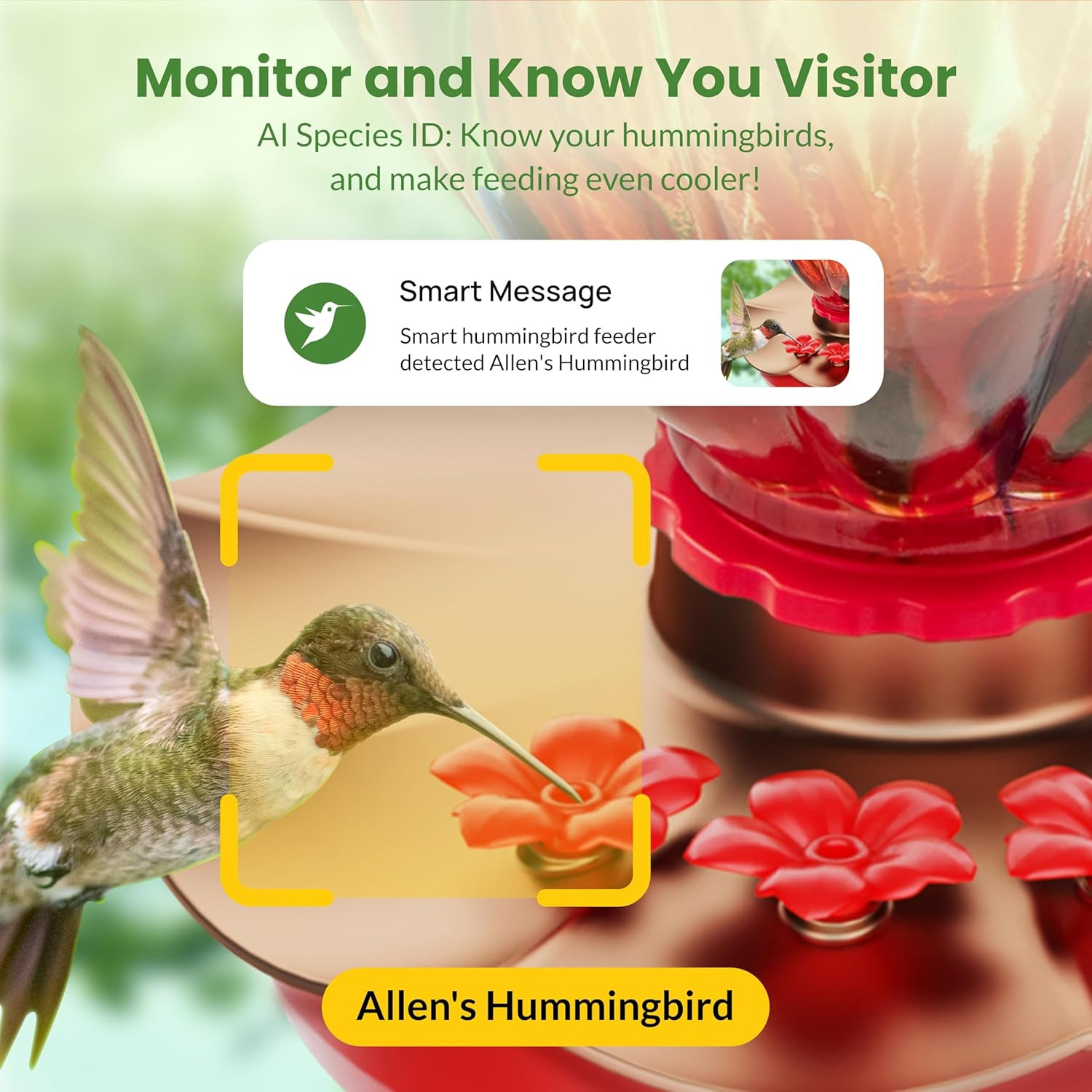 Smart Hummingbird Feeder with Camera, 2K HD Solar Panel Glass Bird Feeder with N