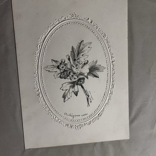 Antique 19th 1857 drawing French Pencil Paper Floral Embossed Paper 5”X7” - Picture 3 of 5