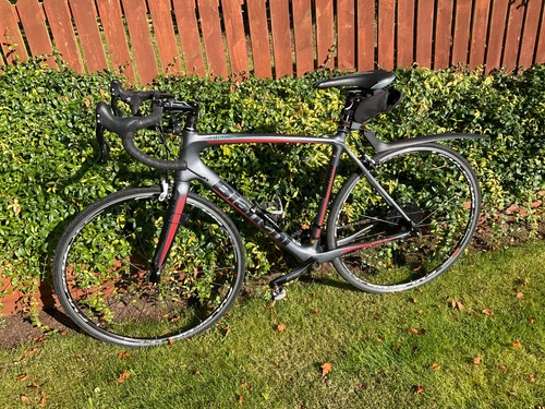 Bianchi Intenso